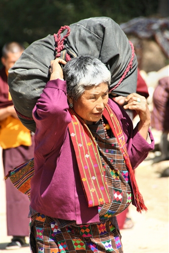 Bhutan_PunakaGangttey_8508.jpg