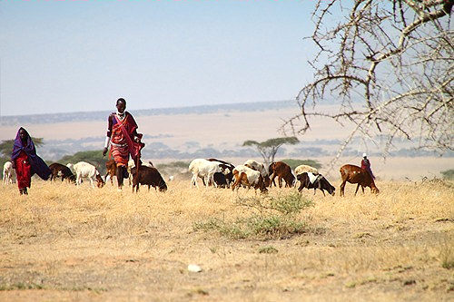 Herders_5239_m.jpg