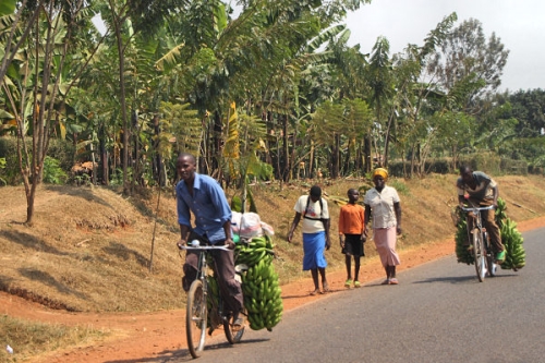 OnTheRoad_6714.jpg