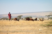 Herders_5238