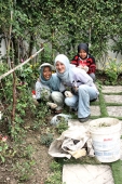 Ranau_0010_m