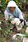 Ranau_0011_m