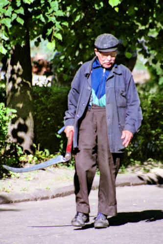 YMonasteryGardener2.jpg