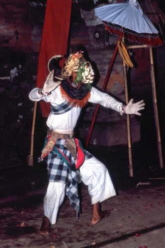 Bali_77_BonaDance_g.jpg