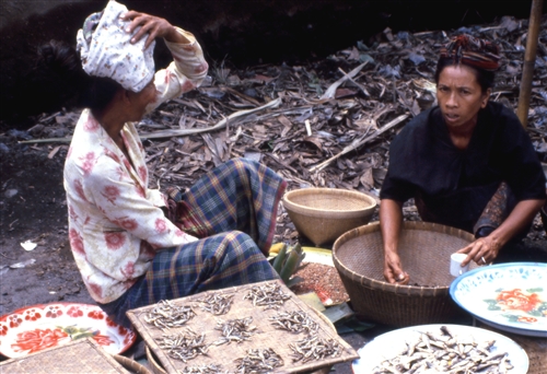 Lombok_20_VillageMarket_g.jpg