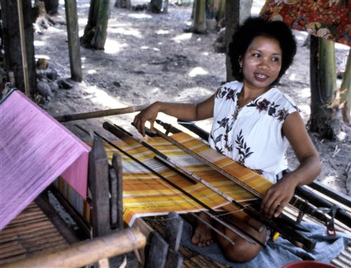 Sulawesi_SouthernVillage_5_Weaver_g.jpg