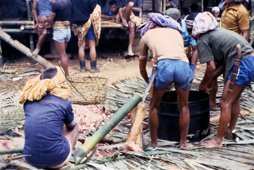 Sulawesi_Toraja_36_FuneralSacrificialBuffalo.jpg