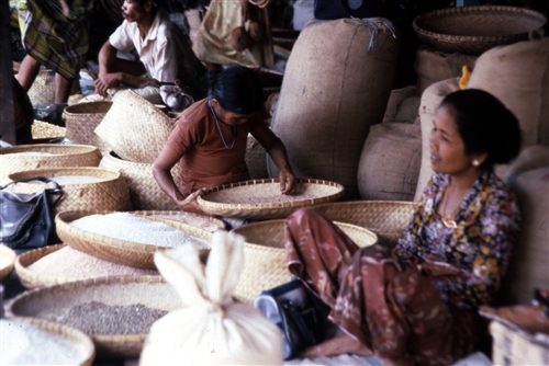 Sulawesi_Toraja_60_RantepeoMarket_g.jpg
