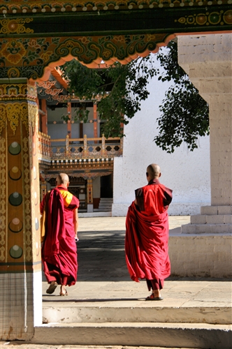 Bhutan_PunakaDzongPlus_8362.jpg