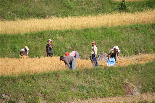 Bhutan_ThToPun_OnTheRoad_8326.jpg