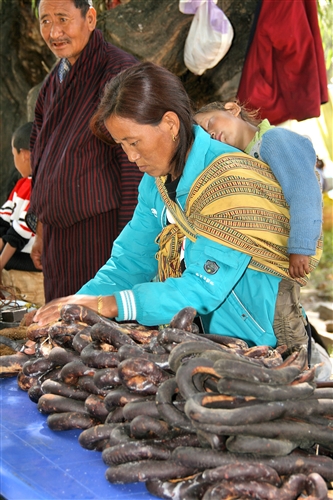 Bhutan_Thimpu_8049.jpg
