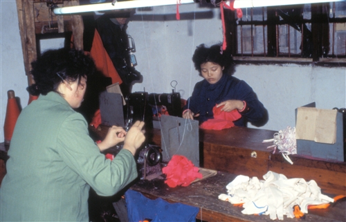 Sichuan_Chongqing_40_CollectiveFarmIndustry.jpg