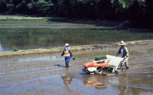 ToyamaDistrict_4_Farmers_g.jpg