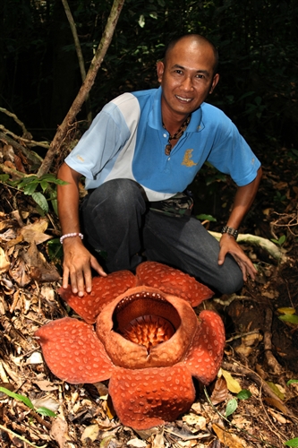 RaffelasiaTrip_0043_m.jpg