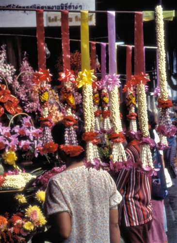 OfferingStalls_1.jpg